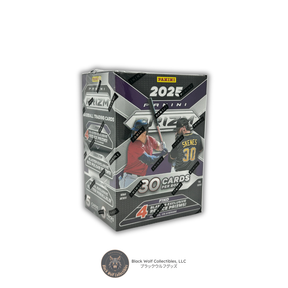 2025 Panini Prizm Baseball Blaster Box (Case)
